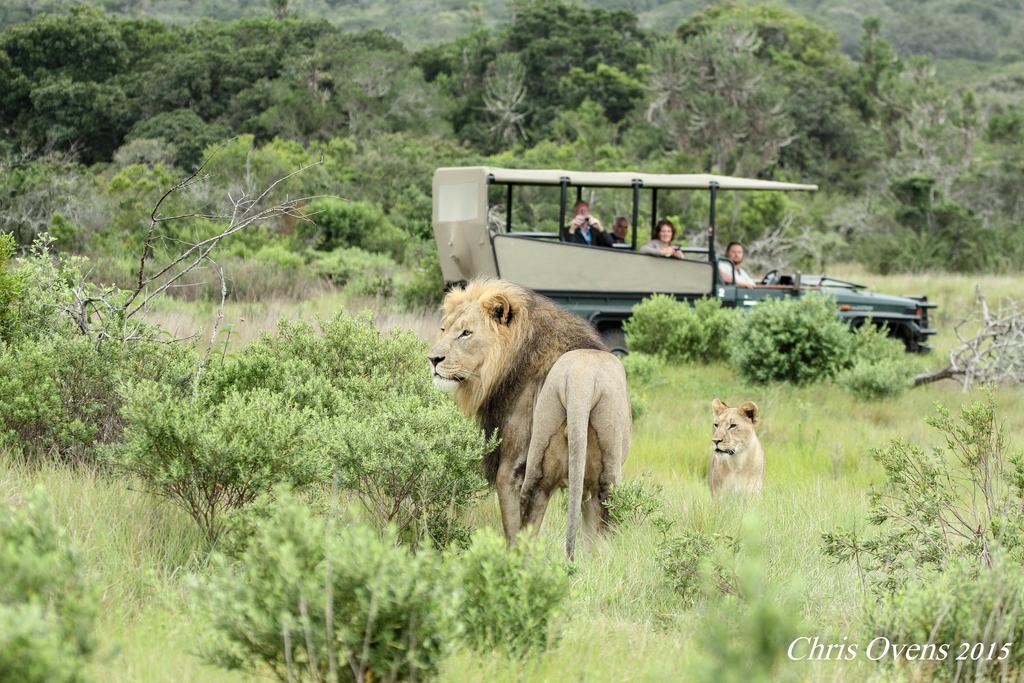 Sibuya Game Reserve And Lodge Kenton on Sea Exterior foto